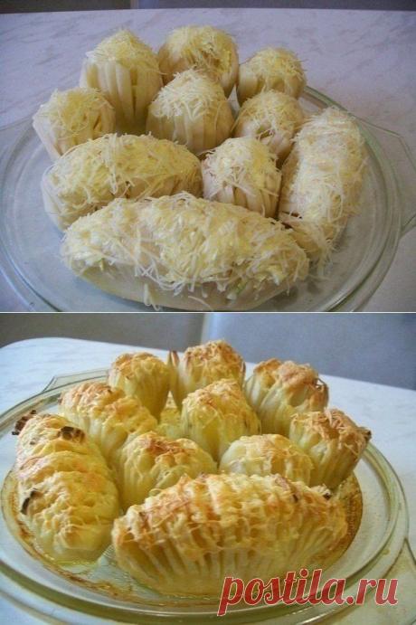 Как приготовить тюльпаны и гармошки из любимой всем картошки - рецепт, ингридиенты и фотографии