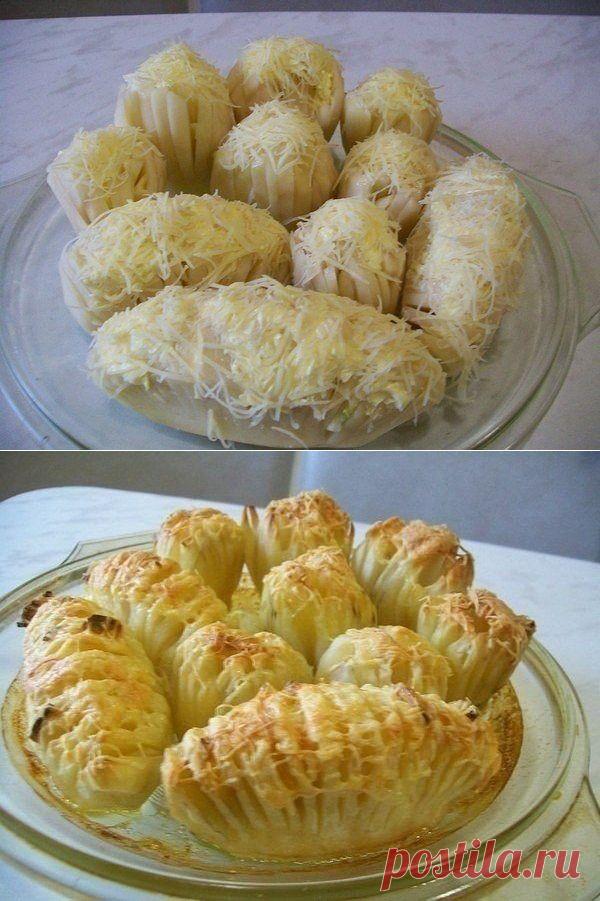 Как приготовить тюльпаны и гармошки из любимой всем картошки - рецепт, ингридиенты и фотографии