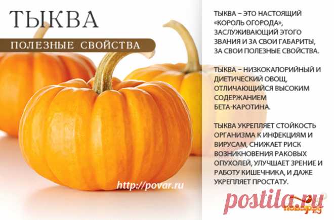 Тыква полезные свойства