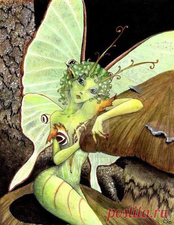 The Fairy Village - Фото | Facebook