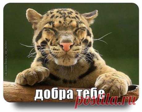 Назло ветрам идти вперед,И не сворачивать с пути!