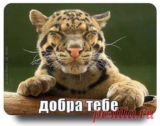 Назло ветрам идти вперед,И не сворачивать с пути!