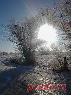 В моей душе восходит солнце,
Гоня невзгодную зиму.
В экстазе идолопоклонца
Молюсь таланту своему.
В его лучах легко и просто
Вступаю в жизнь, как в листный сад.
Я улыбаюсь, как подросток,
Приемлю все, всему я рад.
Ах, для меня, для беззаконца,
Один действителен закон:
В моей душе восходит солнце,
И я лучиться обречен!
