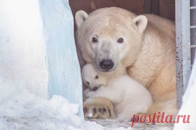 Мы проснулись