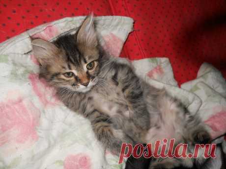 Мир,в котором я живу... - 132 фото. Фотографии Сергей Мартынов.