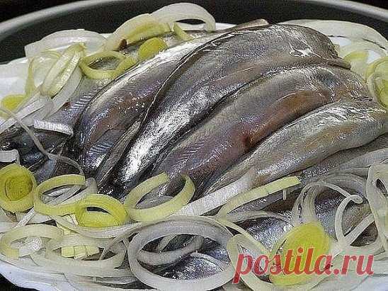МОЙВА СЛАБОСОЛЕНАЯ - ОЧЕНЬ ВКУСНО!
Мойву промыть и сложить в банку.
Приготовить рассол : 
на 1 литр воды - 
3 ст.л. соли,
2 ст.л. сахара,
5 лаврушки,
по 1 ч.л. душистого перца горошком, гвоздики и кориандра.
Рассол довести до кипения и 10 минут прокипятить.
Потом остудить и залить рыбку в банках.
Можно добавить 1 ч.л. уксусной эссенции на 1-л банку с рыбой. Тогда посол будет пряным.
Но можно и не добавлять.