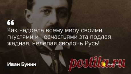 «В России скверно, скверно, скверно»: кого еще стоит убрать из российских библиотек — Платформа — &quot;Проекти&quot;