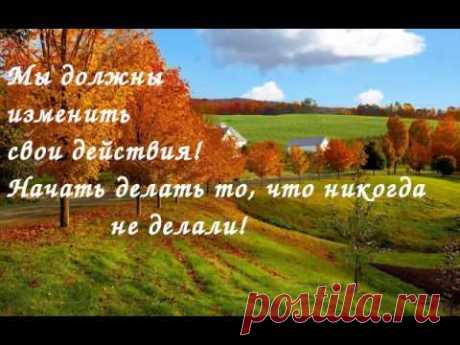С чего начать Природное земледелие! З первых шага!