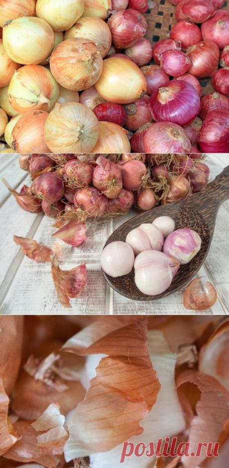 Семь причин никогда не выбрасывать луковую шелуху | ДОМАШНИЙ ОЧАГ