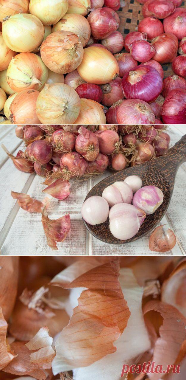 Семь причин никогда не выбрасывать луковую шелуху | ДОМАШНИЙ ОЧАГ