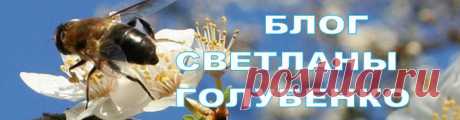 АПИТЕРАПИЯ - ЭТО СЕРЬЕЗНО! | Блог Светланы Голубенко