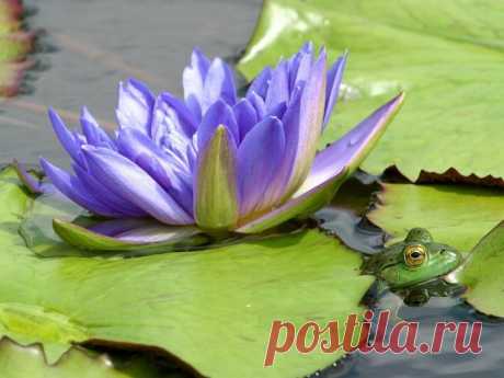 МОЯ ПЛАНЕТА | 9 609 фотографий