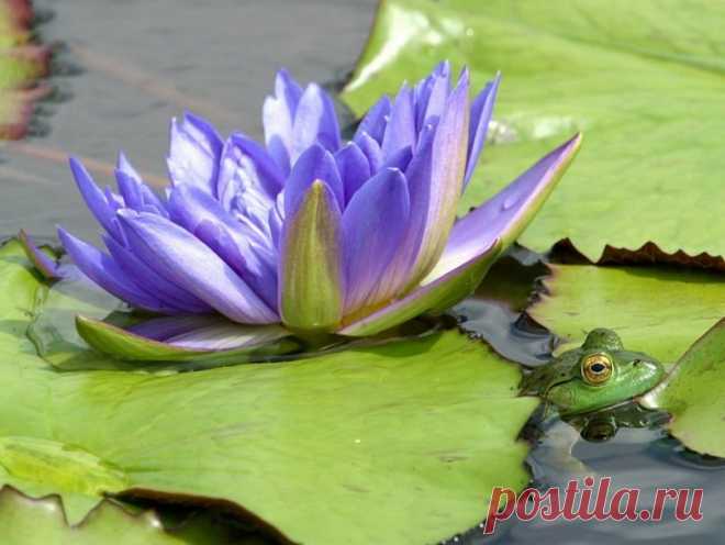 МОЯ ПЛАНЕТА | 9 609 фотографий