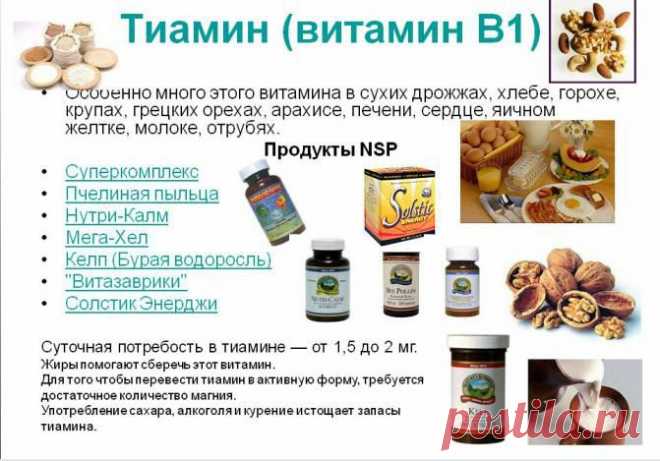 Тиамин, витамин В1 :: Основные сведенья о витаминах :: Витамины :: NSPschool