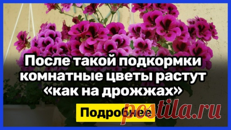 Мой Мир@Mail.Ru