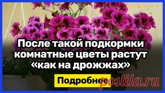 Мой Мир@Mail.Ru