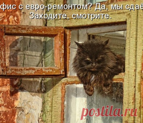 Котоматрицы великолепные, каждая с доброй улыбкой!!!