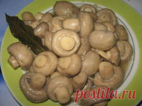 Заготовки на зиму, заморозка, маринование
