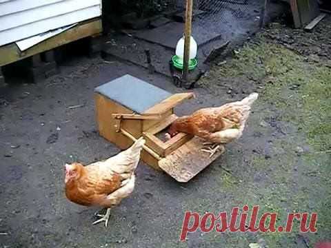 Кормушка для курей