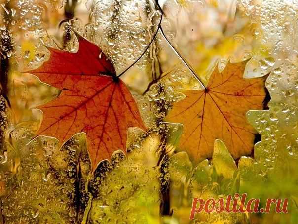 116666008_large_4208855_fEvgBPyDXwI.jpg (604×453)