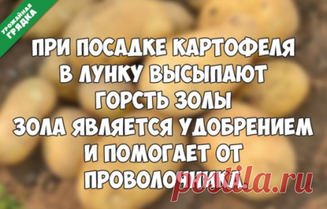 А вы пробовали?