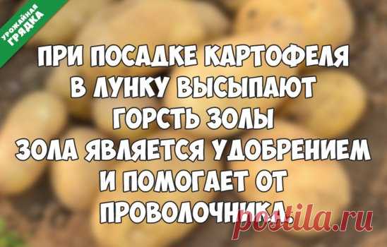 А вы пробовали?