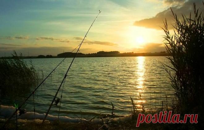 Весенний фидер – особенности, которые важно знать | Рыбалка для людей | Яндекс Дзен