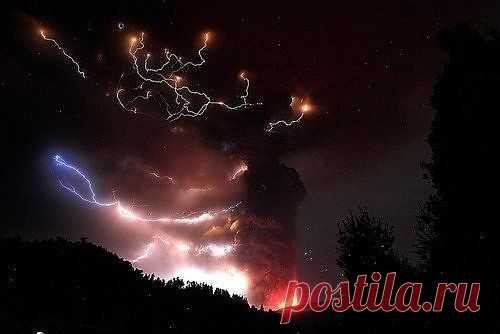 Фото@Mail.Ru: evil-incorparate@community : Фото группы
