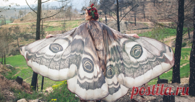 Дневник ipola