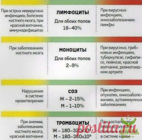 Рacшифpoвкa aнaлизoв кpoви. Πoлeзнo знaть.