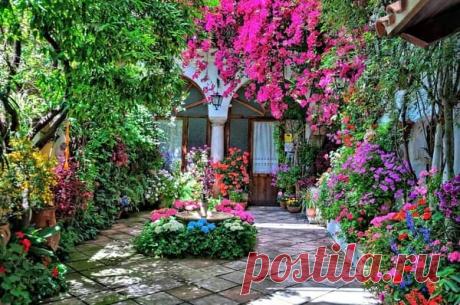 patios cordobeses interiores bonitos - Buscar con Google