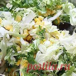 Зеленоглазая - Львица – Google+