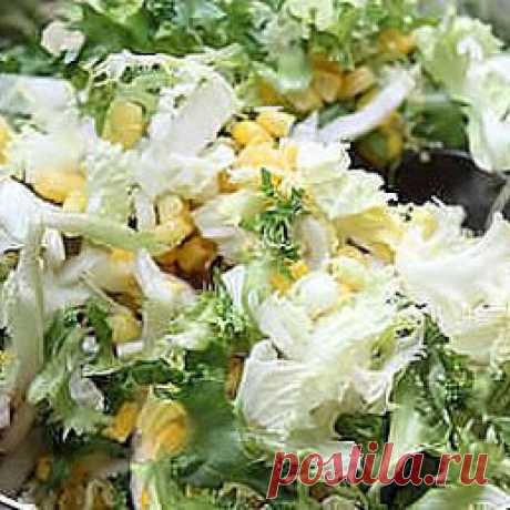 Зеленоглазая - Львица – Google+