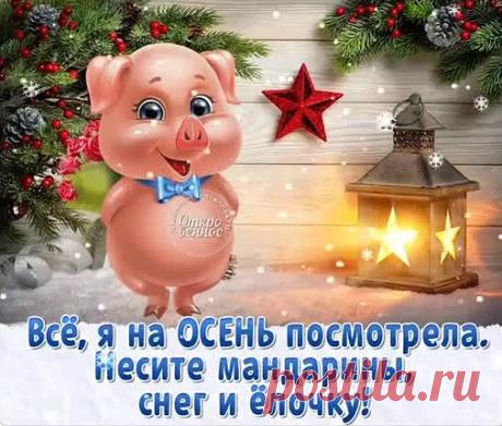 На пороге Хрюшкин Год, Верь, он счастье принесёт!