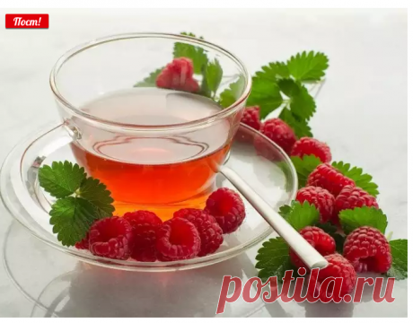 Когда собирать листья малины и смородины для чая :: чай из листьев малины ферментированный :: Сад и огород :: KakProsto.ru: как просто сделать всё