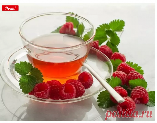 Когда собирать листья малины и смородины для чая :: чай из листьев малины ферментированный :: Сад и огород :: KakProsto.ru: как просто сделать всё