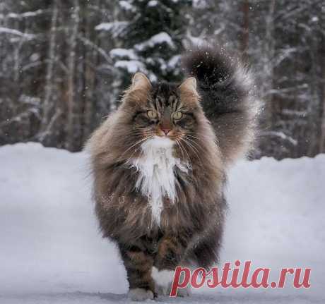 Праздники – 29 Ноября • День буквы Ё • День любителя острых ощущений • Чёрная пятница (Black Friday) • Праздник угукальщиков • Мостодень (день мостов) • Всемирный день отказа от покупок (Buy Nothing Day) • День памяти апостола и евангелиста Матфея • День бухгалтера в Татарстане • Международный день солидарности с палестинским народом • День образования территориально-национальной автономии Башкортостана День шоколадки (National Chocolates Day) - США • День освобождения - Албания • День…