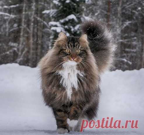 Праздники – 29 Ноября • День буквы Ё • День любителя острых ощущений • Чёрная пятница (Black Friday) • Праздник угукальщиков • Мостодень (день мостов) • Всемирный день отказа от покупок (Buy Nothing Day) • День памяти апостола и евангелиста Матфея • День бухгалтера в Татарстане • Международный день солидарности с палестинским народом • День образования территориально-национальной автономии Башкортостана День шоколадки (National Chocolates Day) - США • День освобождения - Албания • День…