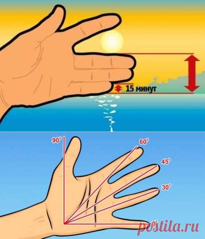 8 школьных «шпаргалок», которые точно пригодятся каждому взрослому