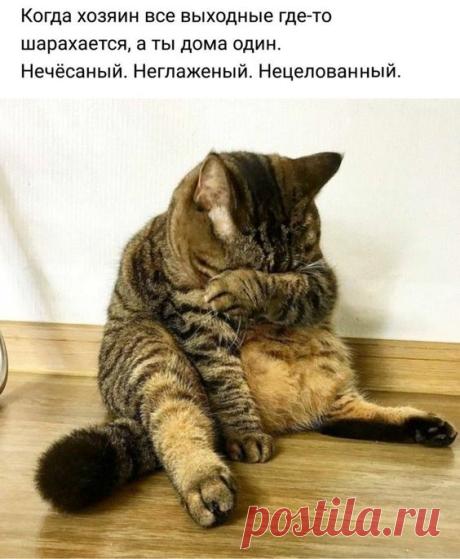 (120) Pinterest