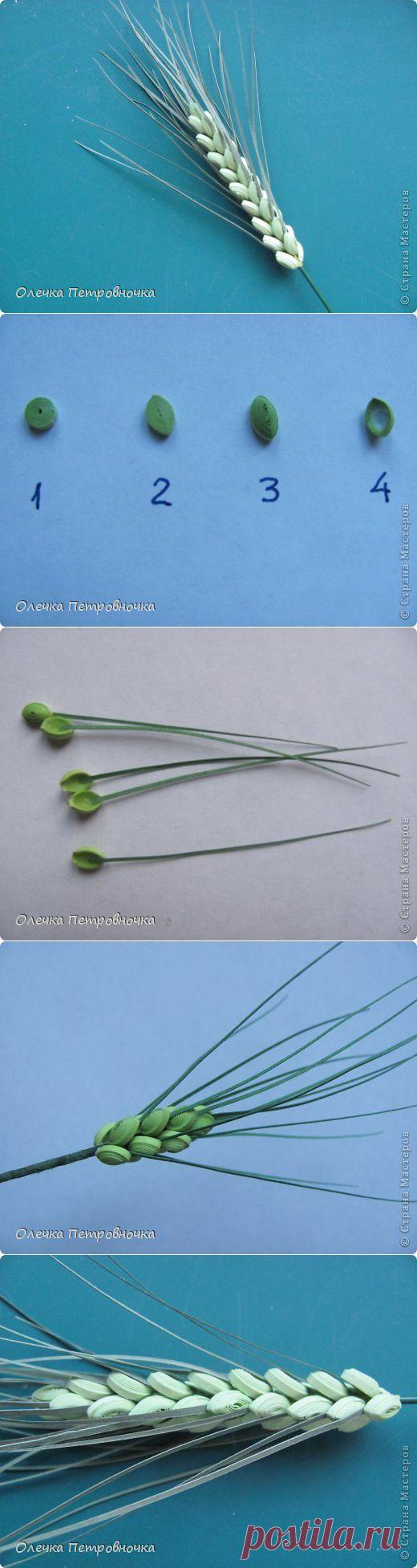 МК КОЛОСКА | Страна Мастеров