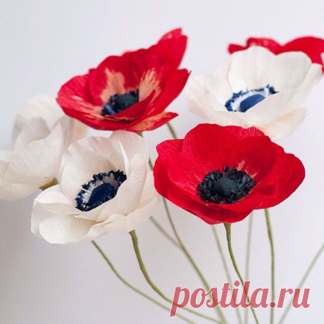 Red meets white! It's still raining today so here are some bright red anemones to brighten up the day and to add to the white ones I made yesterday ☺️.
#papercraft #paperflowers #craftsposure #paperplay_design #flowers #handmade #DIY #dslooking #dscolor #rainyday #anemone #paperanemone