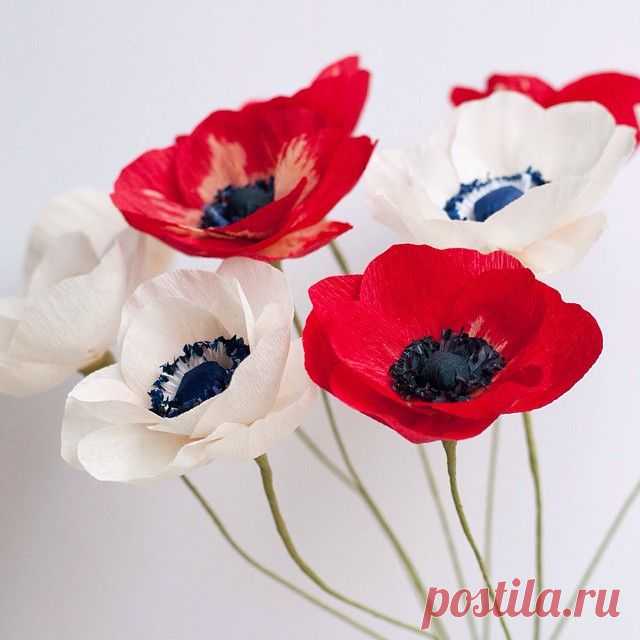 Red meets white! It's still raining today so here are some bright red anemones to brighten up the day and to add to the white ones I made yesterday ☺️.
#papercraft #paperflowers #craftsposure #paperplay_design #flowers #handmade #DIY #dslooking #dscolor #rainyday #anemone #paperanemone