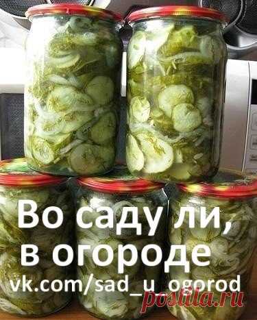 САЛАТ ИЗ ОГУРЦОВ НА ЗИМУ «ЗИМНИЙ КОРОЛЬ»