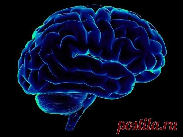 Упражнения для стимуляции работы мозга
