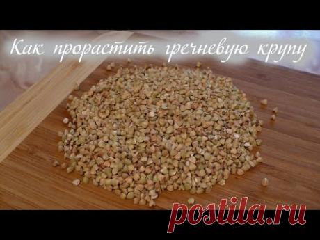Как прорастить гречку и рецепт из нее