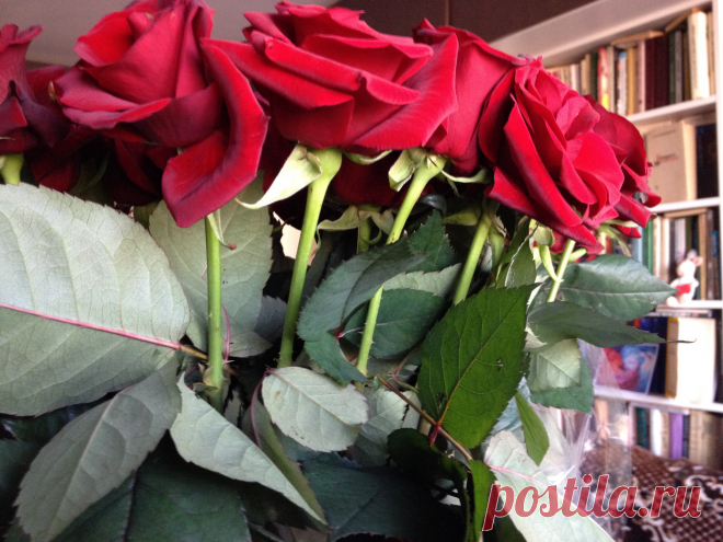 Отзыв о доставке цветов в СПб "Море роз" http://morerose.ru Закажи на сайте - и получишь гнилые цветы. Жулики!  Это вид цветов через 3 часа после доставки