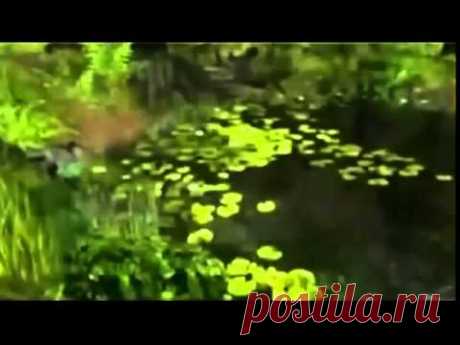 Луиза Хей. Молитва благодарности от Луизы Хей