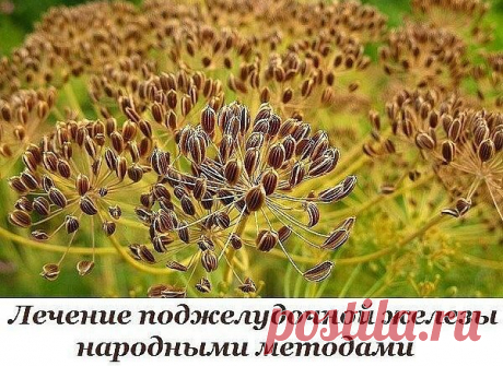 Как лечить поджелудочную железу народными методами — informed news 24