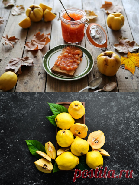 Осенний урожай: 5 простых и вкусных рецептов с айвой
